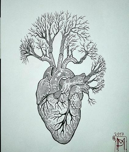 422x500 How To Draw Roots Of A Tree Annsmith Club - Tree Roots Drawing