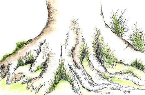 500x329 How To Draw Roots Of A Tree Outingkin Club - Tree Roots Drawing