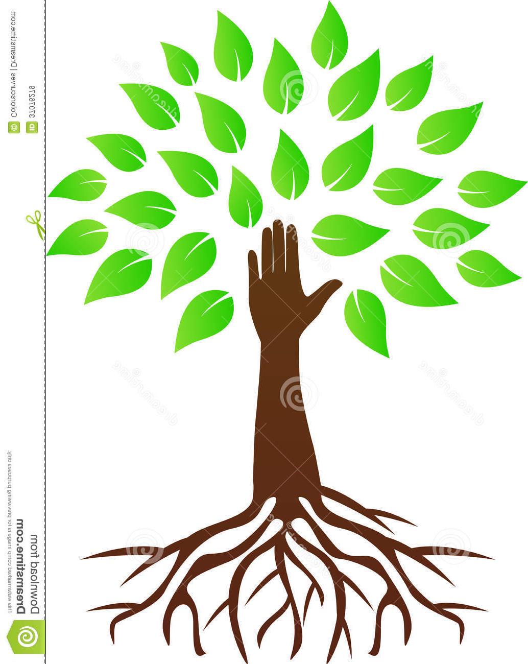 1034x1300 Best Free Hand Tree Roots Vector Drawing Represents Design - Tree Roots Drawing