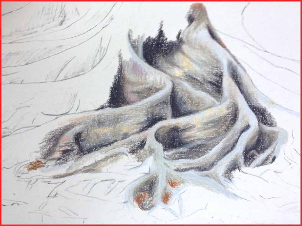 1024x768 drawing of tree roots tree roots drawing tree roots joyceholman club - Tree Roots Drawing