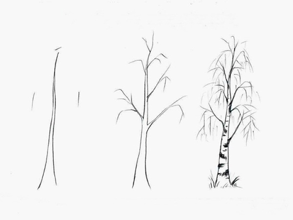 600x450 How To Draw A Tree - Tree Shadow Drawing