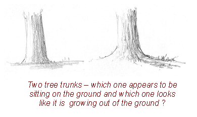 390x231 How To Draw Trees Quickly And Easily - Tree Shadow Drawing