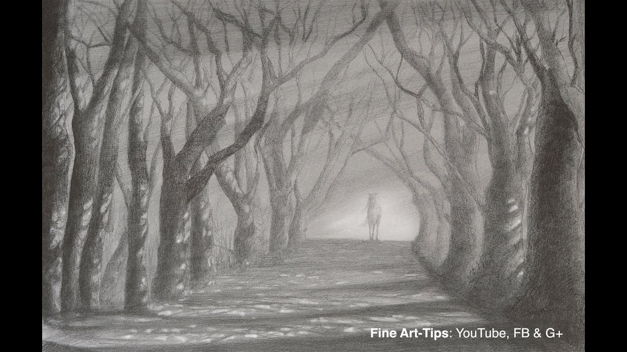 1280x720 How To Draw A Road With Trees - Tree Shadow Drawing