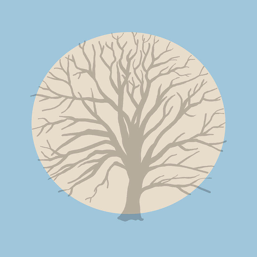 900x900 The Shadow Tree Drawing - Tree Shadow Drawing