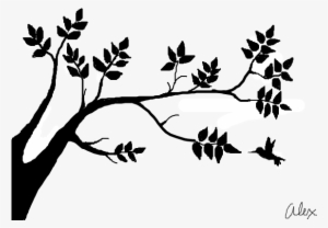 300x208 tree shadow png, transparent tree shadow png image free download - Tree Shadow Drawing