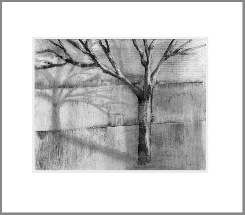 794x696 Tree Shadow Charcoal Drawing Black And White Etsy - Tree Shadow Drawing