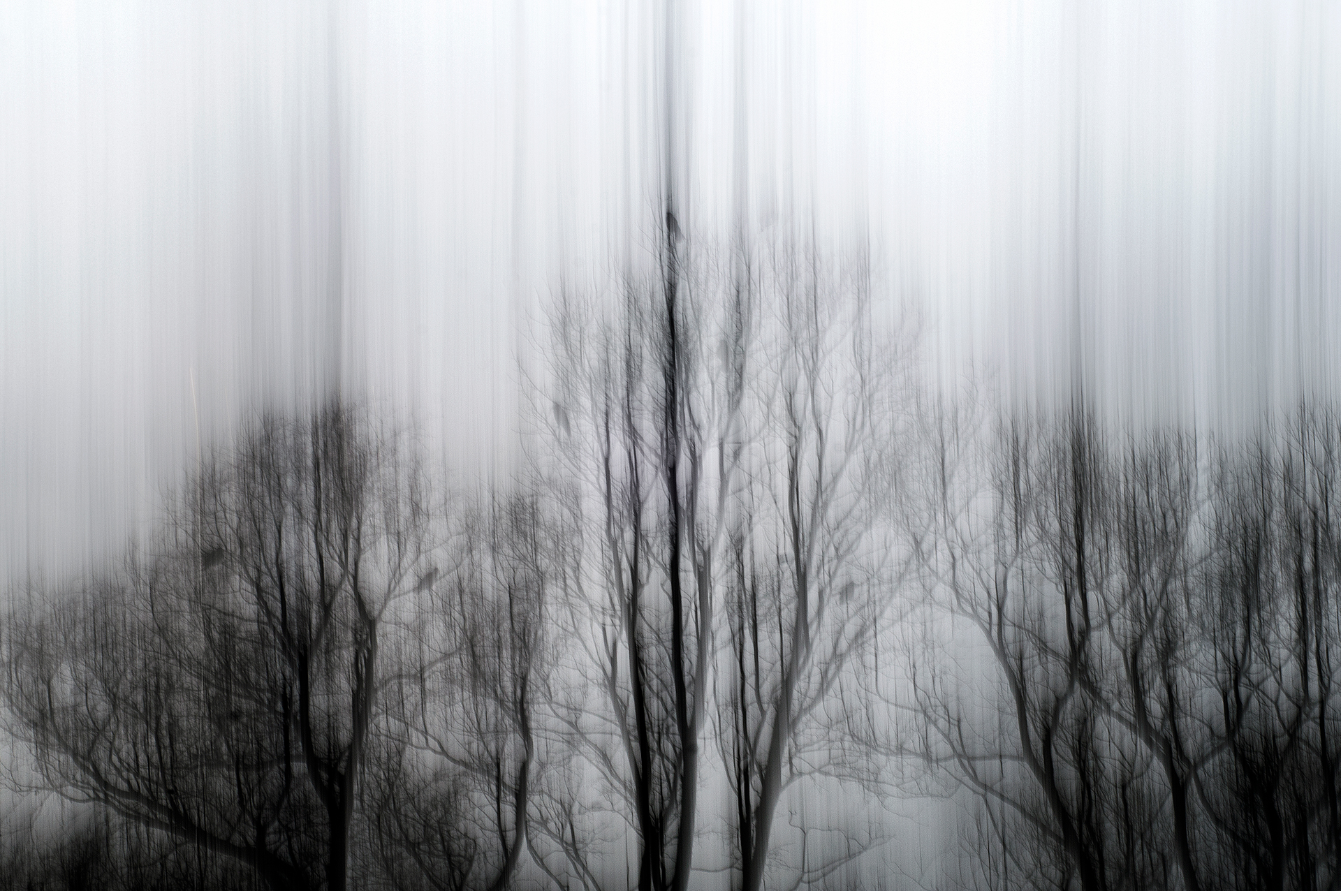 1920x1276 Wallpaper Sunlight, Trees, Lights, Drawing, Contrast, Forest - Tree Shadow Drawing