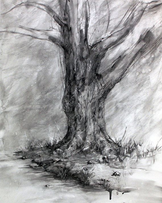 570x713 Winter's Shadow Charcoal Tree Drawing Fine Art Landscape Tree - Tree Shadow Drawing