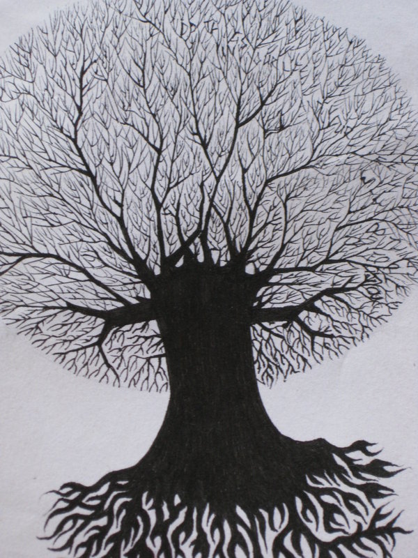 600x800 Tree Drawing Shadow For Free Download - Tree Shadow Drawing