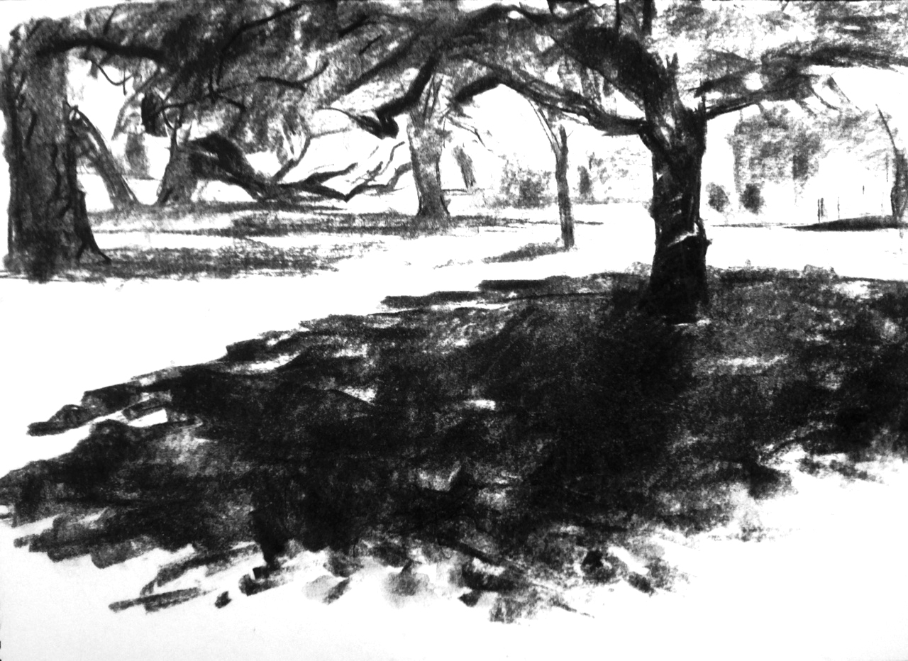 1280x932 Unique Drawing Shadows In Landscape Gallery - Tree Shadow Drawing