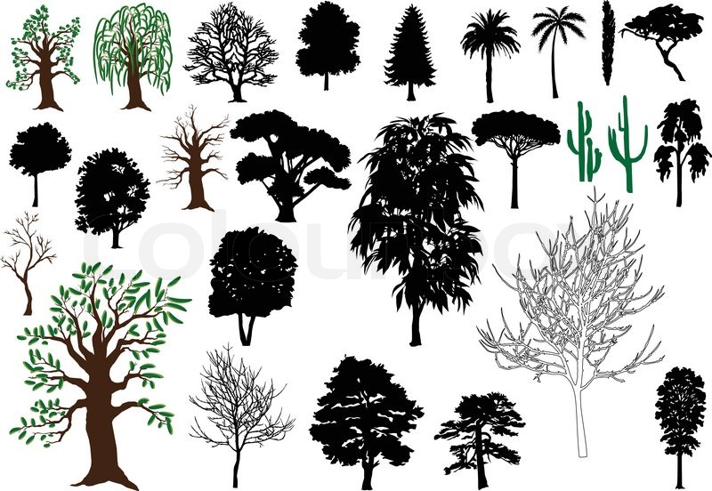800x552 Set Of Vector Trees Silhouettes, Stock Vector Colourbox - Tree Silhouette Drawing