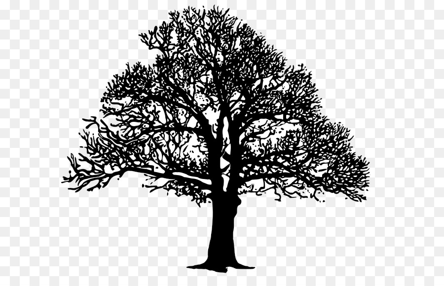 900x580 tree, silhouette, drawing, transparent png image clipart free - Tree Silhouette Drawing