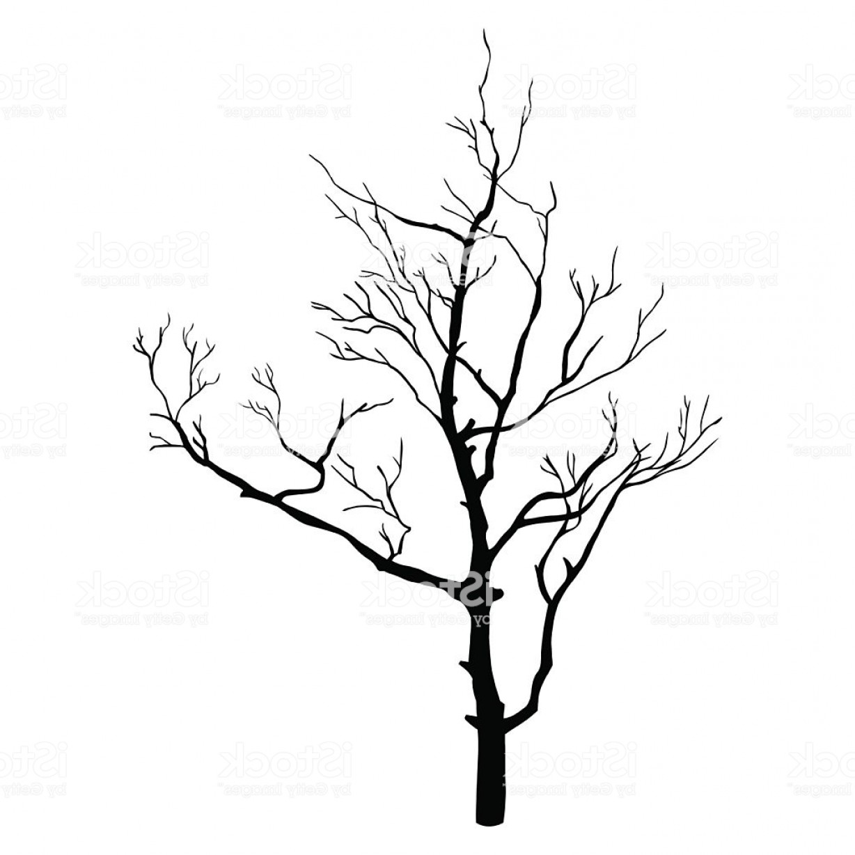 1228x1228 vector single bare tree silhouette gm sohadacouri - Tree Silhouette Drawing