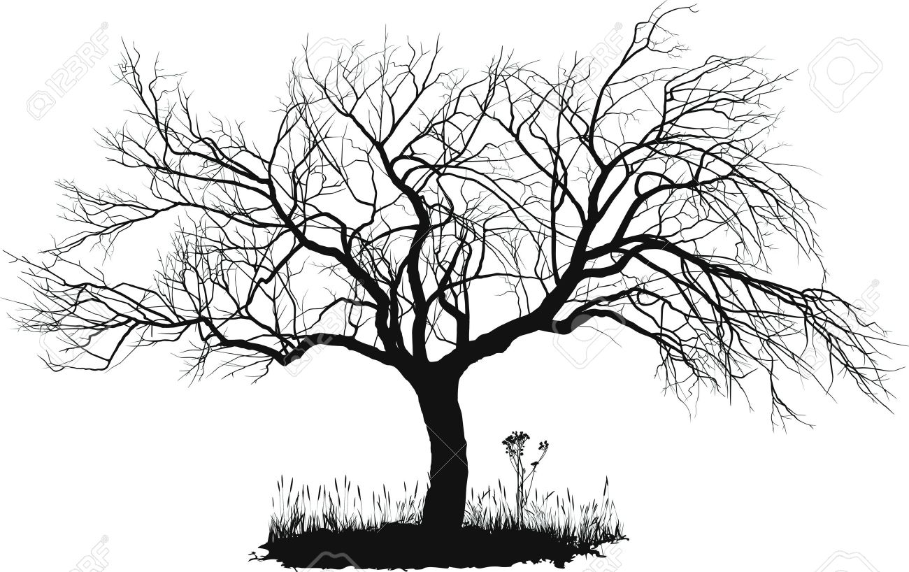 1300x818 Black And White Tree Drawing Clip Art - Tree Silhouette Drawing