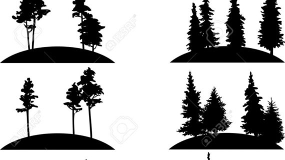 570x320 drawn pine tree silhouette - Tree Silhouette Drawing