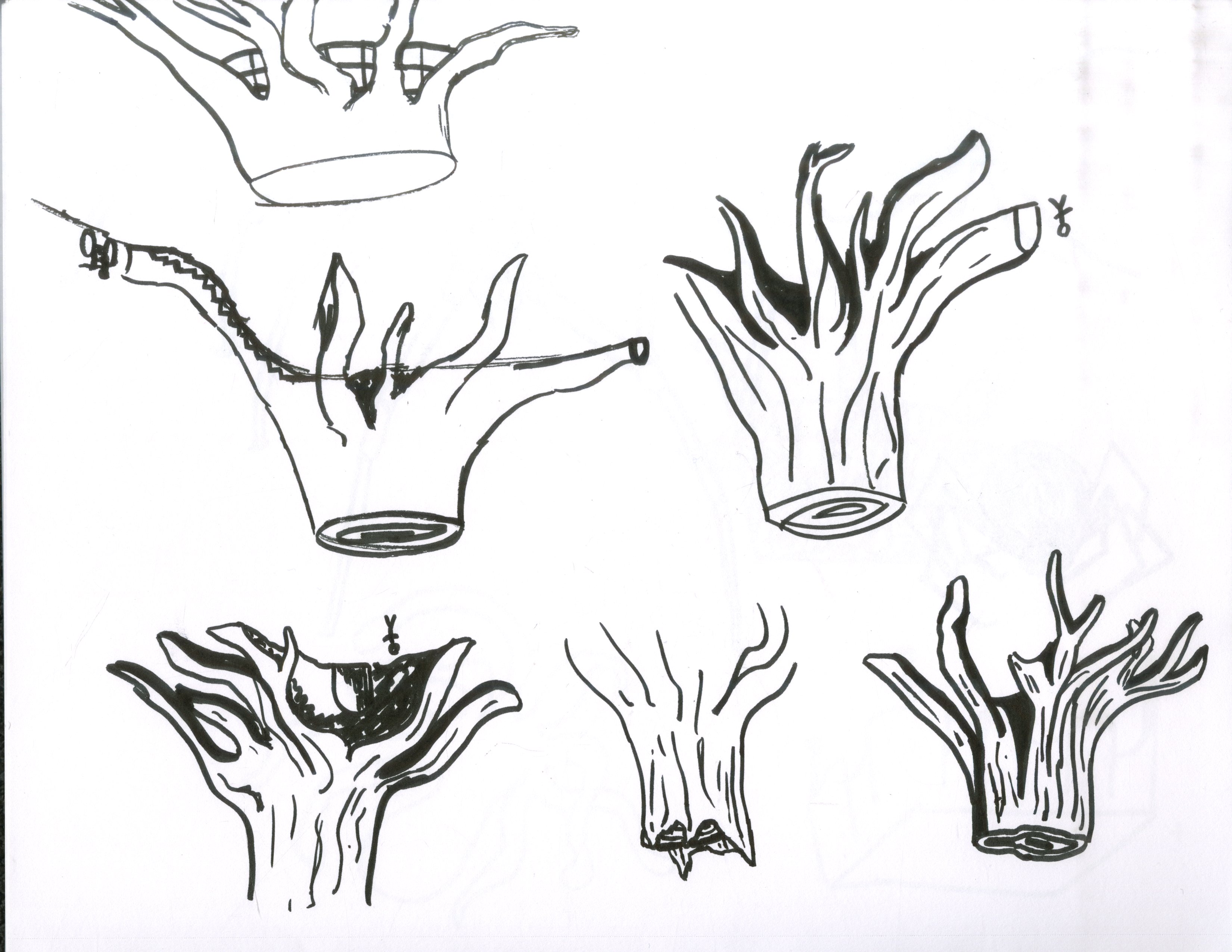 Tree Stump Drawing