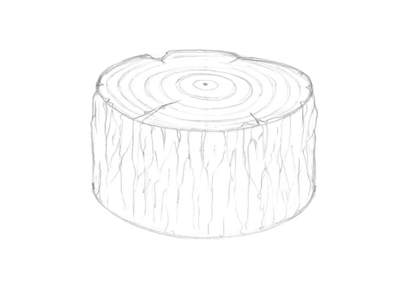 850x603 How To Draw A Tree - Tree Stump Drawing