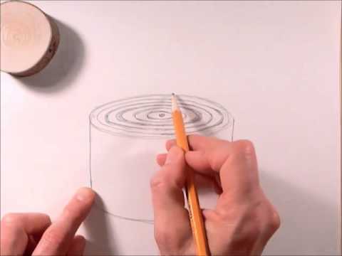 480x360 How To Draw A Tree Stump In Perspective - Tree Stump Drawing
