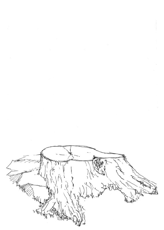 Tree Stump Drawing at Explore collection of Tree