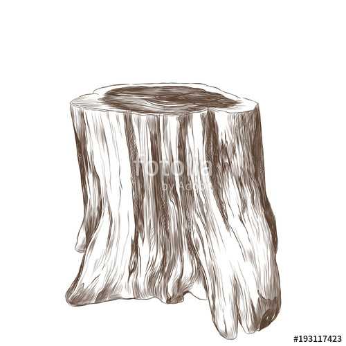 500x500 A Thick Tree Stump Into A Table, Sketch Vector Graphics Monochrome - Tree Stump Drawing