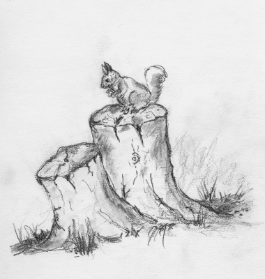 380x400 Tree Stump Drawing - Tree Stump Drawing