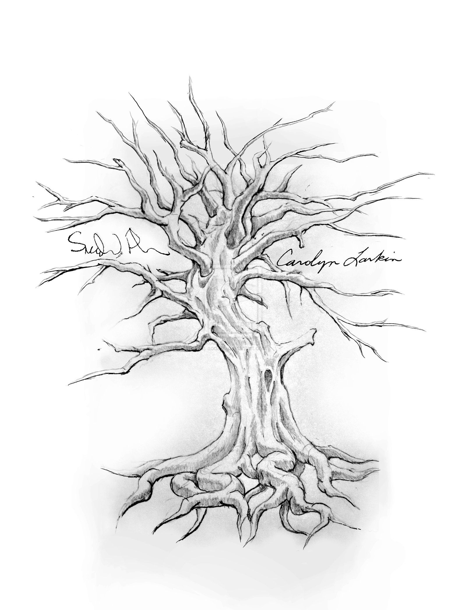 1600x2094 Family Tree Tattoo Drawing Designs - Tree Tattoo Drawing