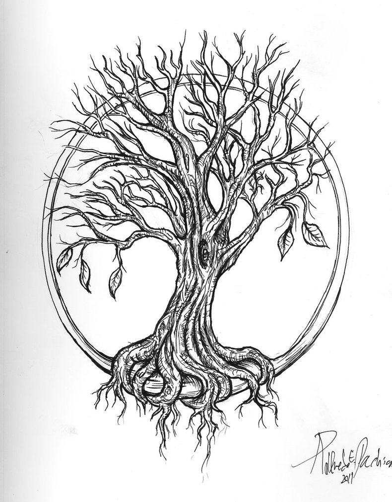790x1010 Tree Of Life Tattoo Drawing Tattoo Ideas - Tree Tattoo Drawing