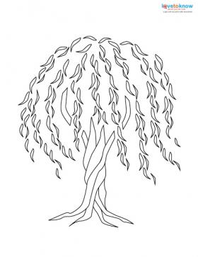 280x363 willow tree tattoo lovetoknow - Tree Tattoo Drawing