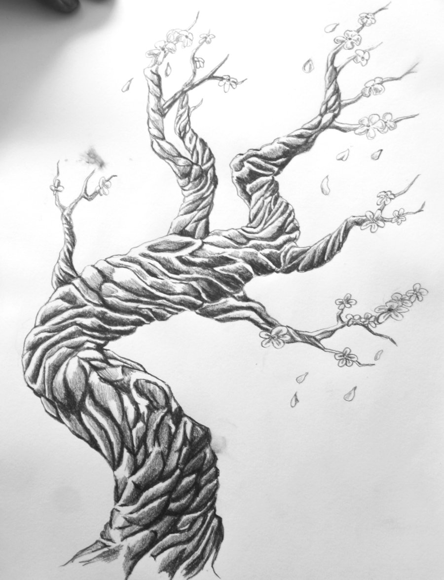 580+ Free Download Tattoo Design Tree Idea Tattoo