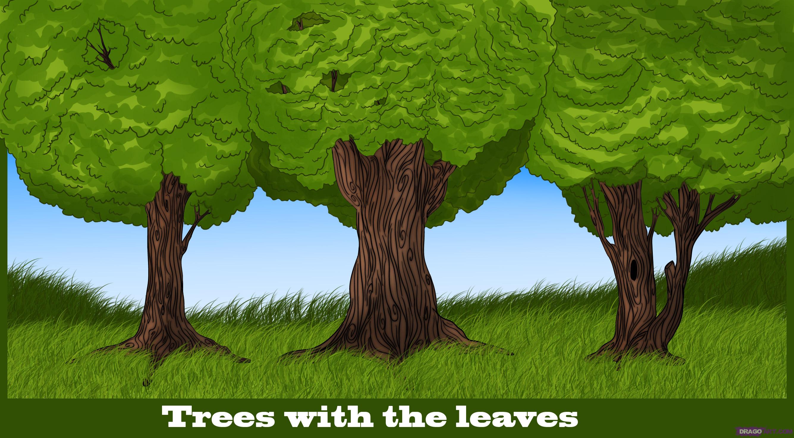 2671x1474 How To Draw Trees, Step - Tree Top Drawing