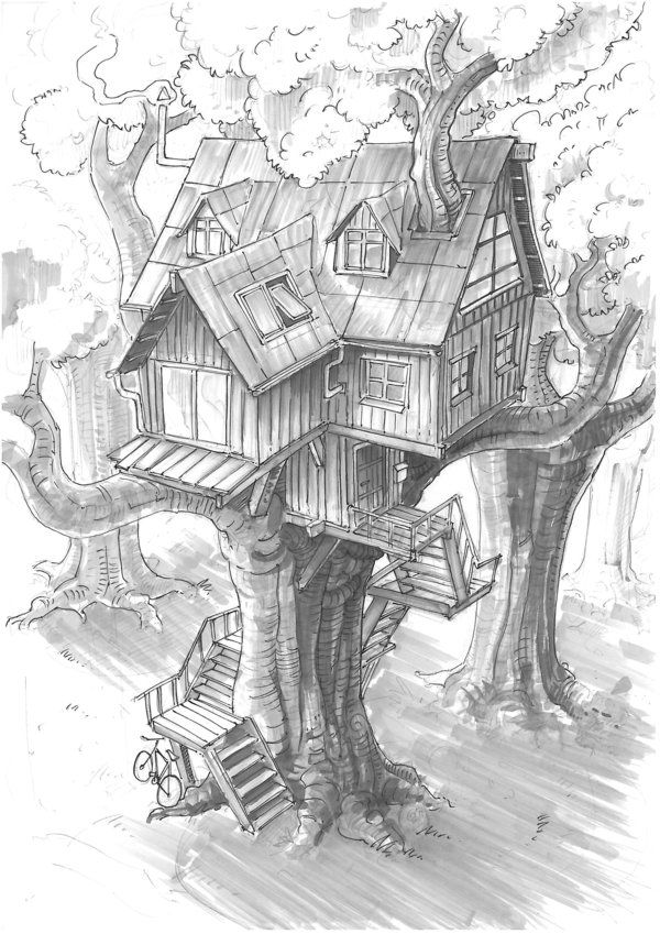 600x849 resort clipart tree top - Tree Top Drawing