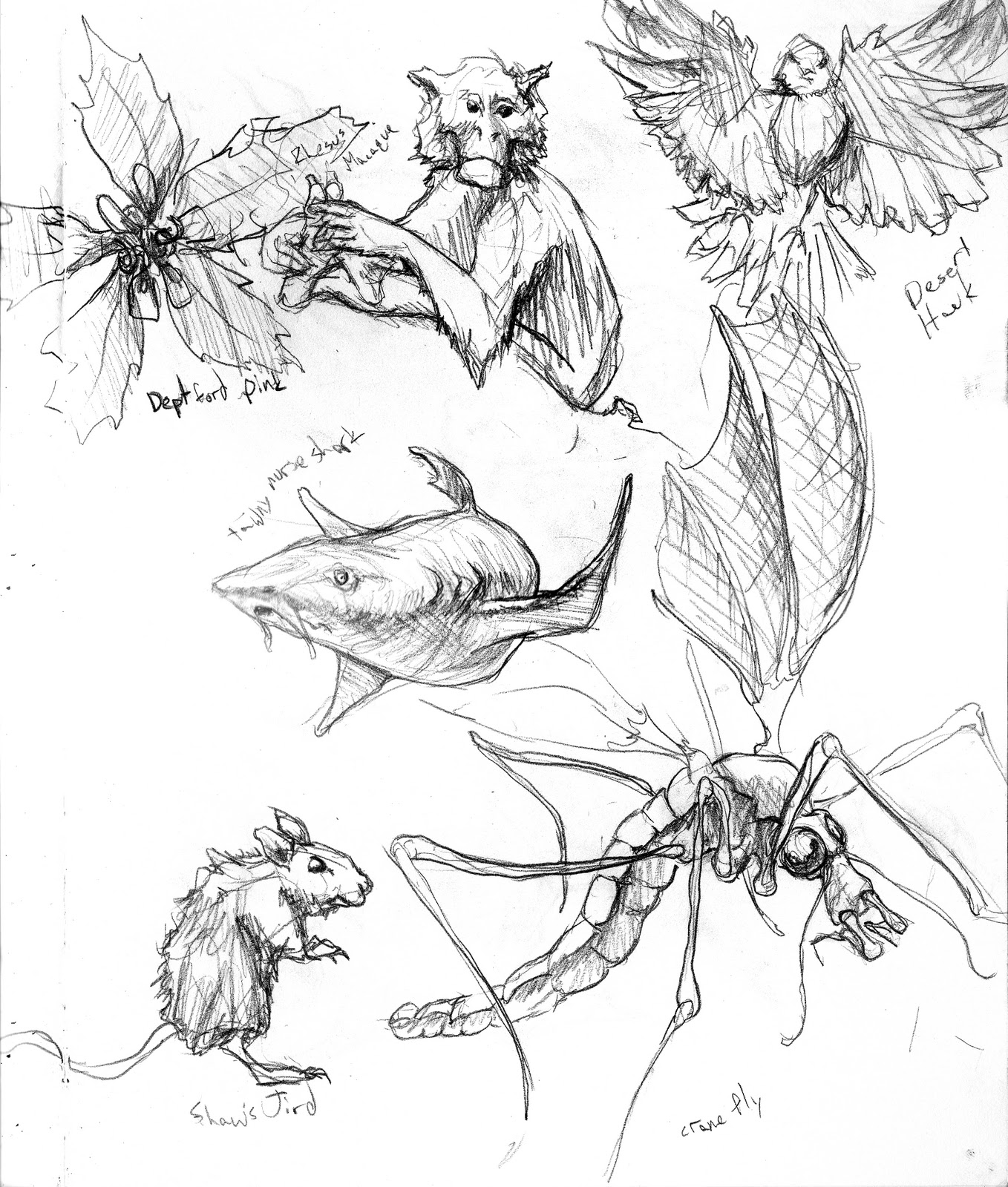 1358x1600 Tree Top Drawing - Tree Top Drawing