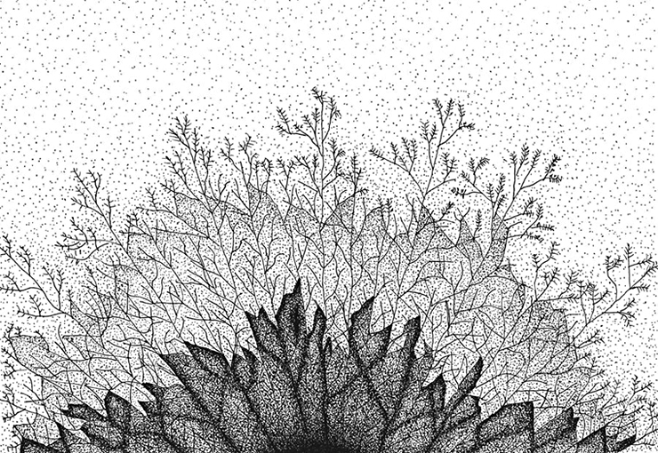 740x510 Tree Tops I Lsa - Tree Top Drawing