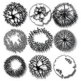 160x160 tree top vector stock image and royalty free vector - Tree Top Drawing