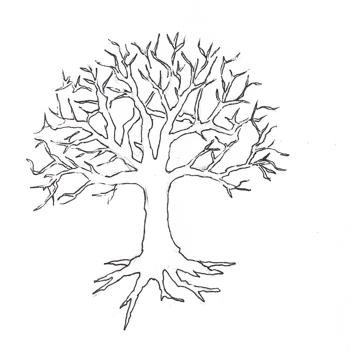 1139x1139 Coloring Pages Of Trees Without Leaves - Tree Top Drawing
