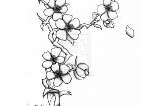 300x210 Drawing Of Japanese Cherry Blossom Easy How To Draw A Sakura - Tree Top Drawing