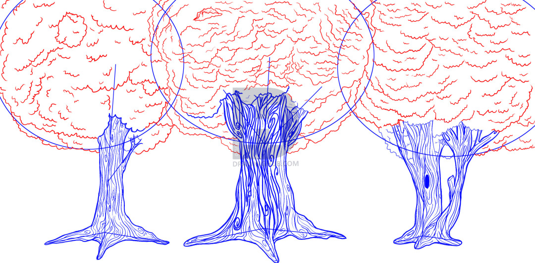 1080x532 How To Draw Trees, Step - Tree Top Drawing
