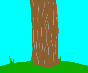 300x250 tree trunk drawing - Tree Trunk Drawing