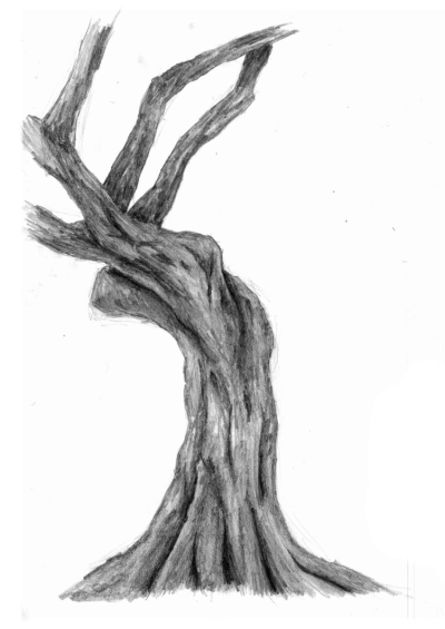 400x565 download free png twisted drawing twisted tree trunk for free - Tree Trunk Drawing