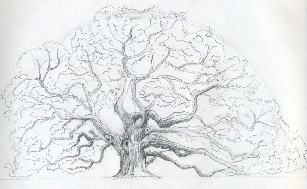 Tree Trunk Drawing at PaintingValley.com | Explore collection of Tree