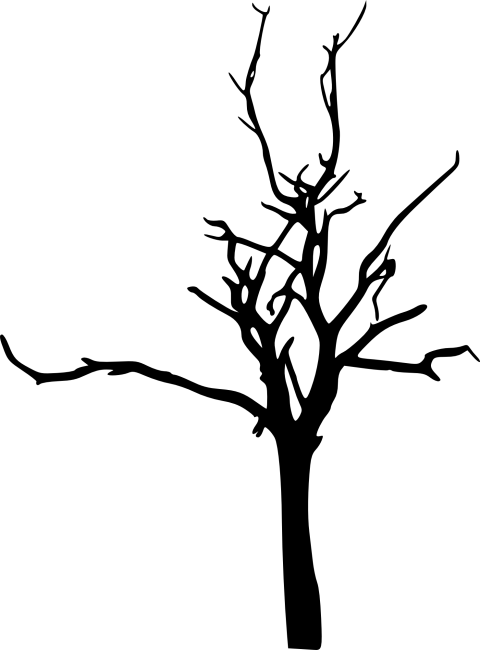 480x650 Bark Drawing Tree Trunk Transparent Png Clipart Free Download - Tree Trunk Line Drawing