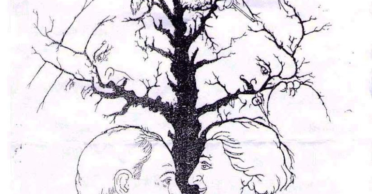 1200x627 No One Can Count The Number Of Faces In The How Many Do You See - Tree With Face Drawing