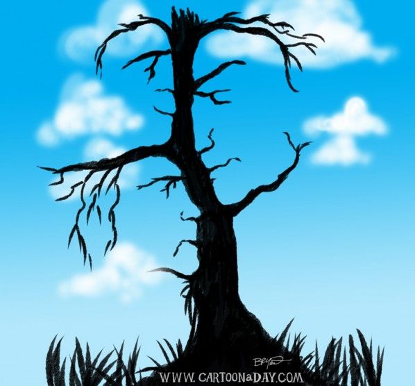 598x556 Drawings Of A Tree With Faces Featured Products New Products - Tree With Face Drawing