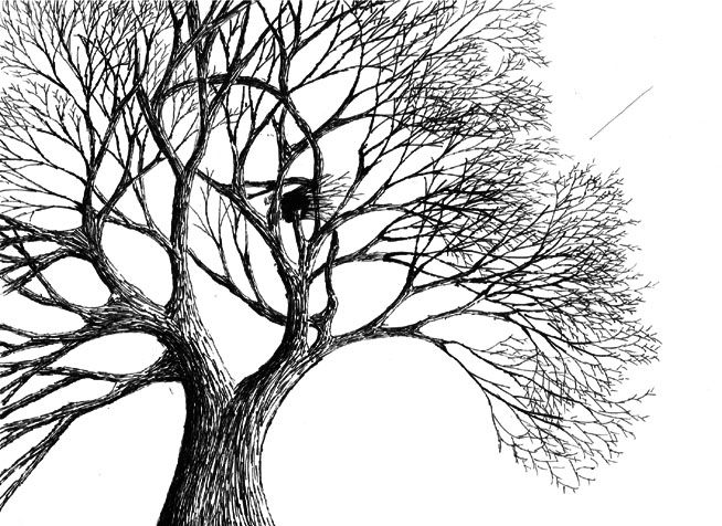 654x476 Drawings Of A Tree With Faces Third Face Tree - Tree With Face Drawing