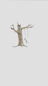 169x300 Tree Swing Drawings Fine Art America - Tree With Swing Drawing