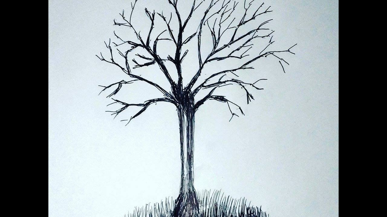 1280x720 How To Make Simple Tree Without Leaves - Tree Without Leaves Drawing