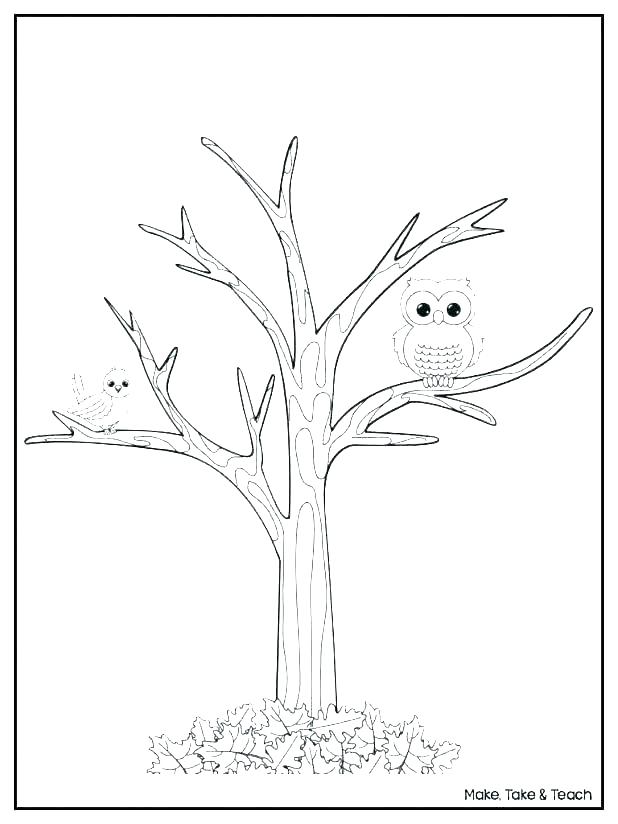 618x824 coloring pages of trees without leaves coloring tree coloring - Tree Without Leaves Drawing