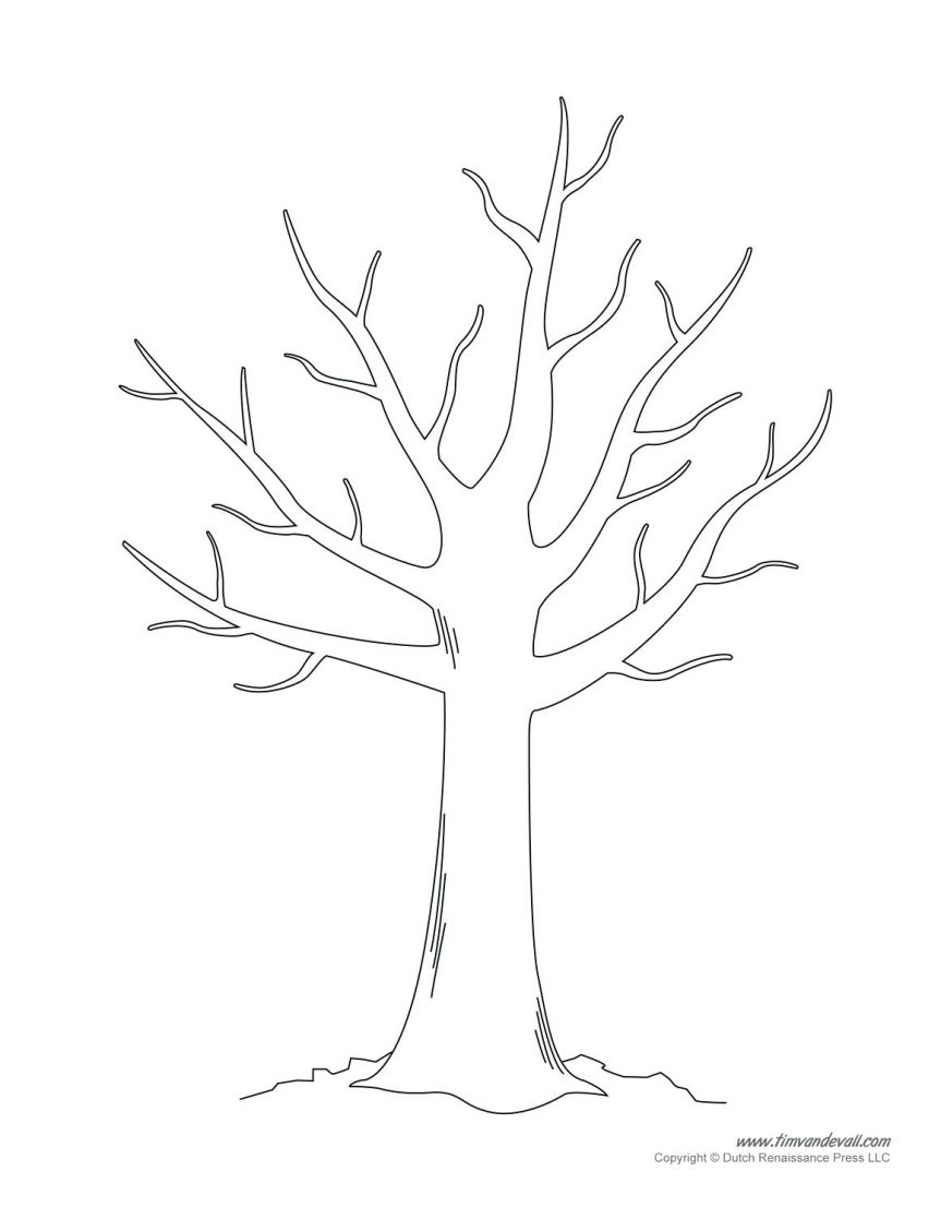 863x1117 Coloring Pages Trees Planting Oak Tree - Tree Without Leaves Drawing