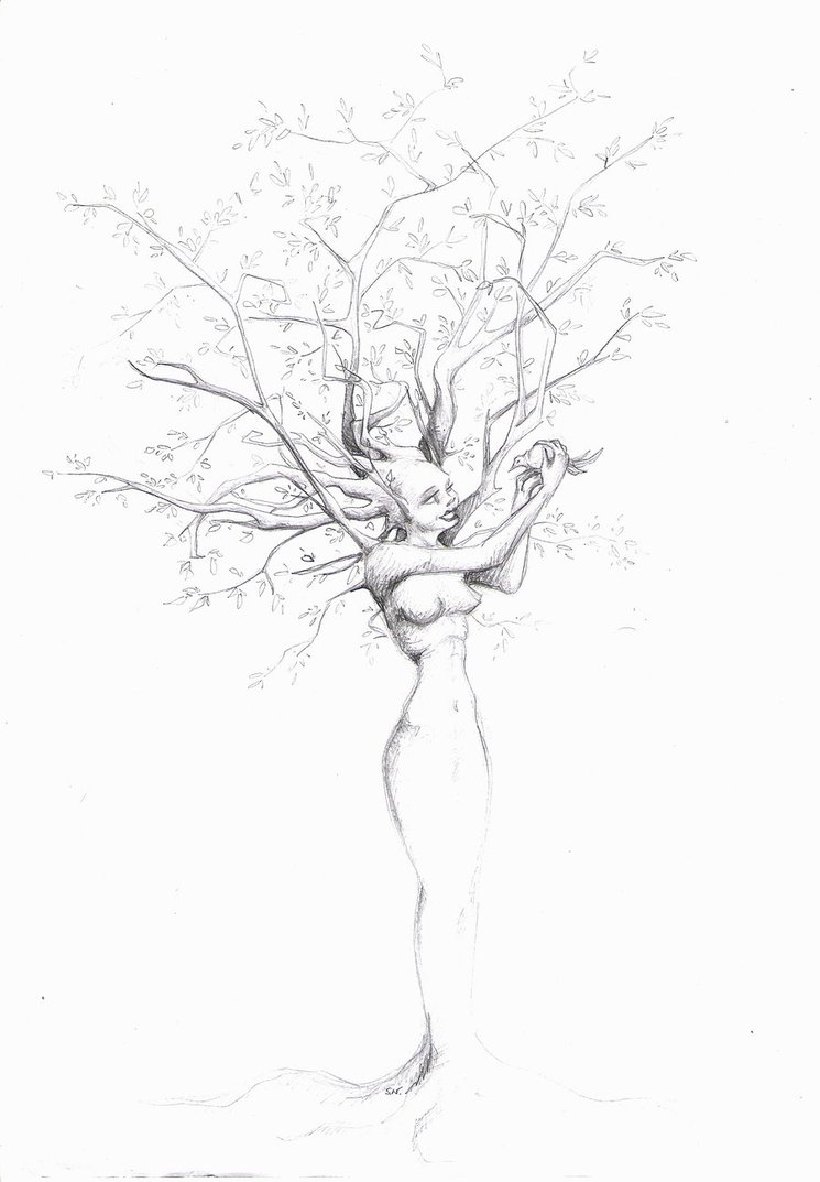 Tree Woman Drawing