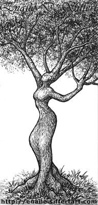 192x400 if i could ever get a tattoo it would be along the lines of this - Tree Woman Drawing